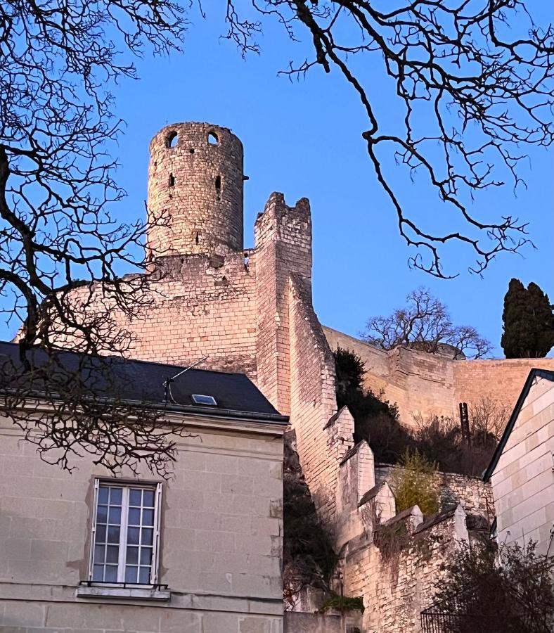 Le Rabelais, Superbe Appartement En Duplex, Proche Forteresse Et Monument Historique Chinon Eksteriør bilde